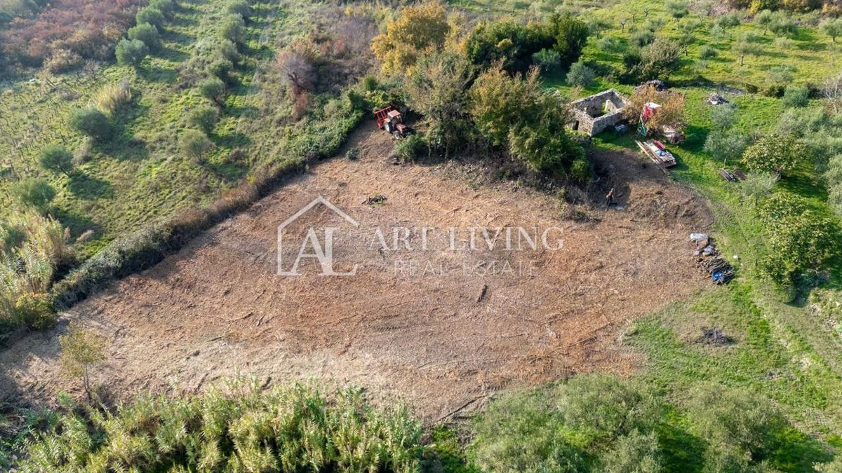 Buje, attraente terreno agricolo di 2.700 m² adiacente a una zona edificabile.