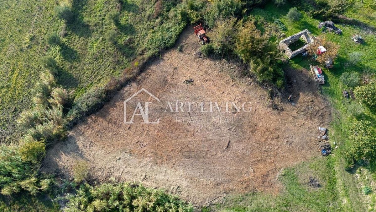 Buje, attraente terreno agricolo di 2.700 m² adiacente a una zona edificabile.
