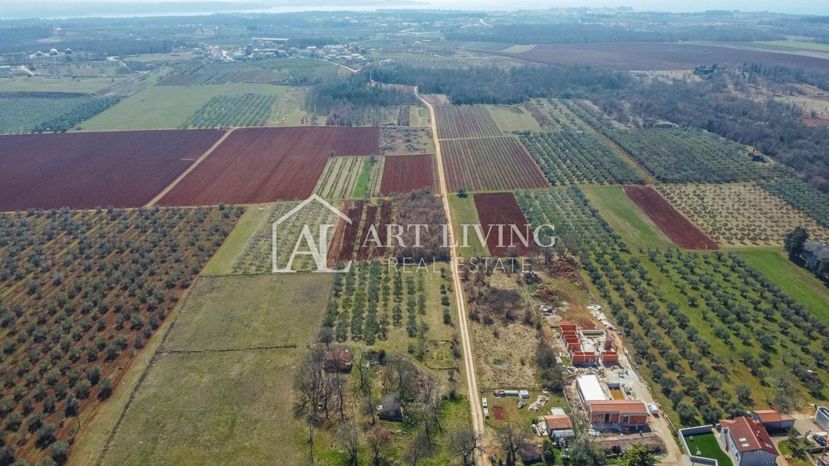 Dintorni di Novigrad - terreno attraente in una posizione TOP nella zona T3, opportunità di investimento