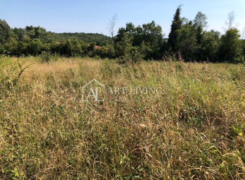 Novigrad-dintorni, terreno edificabile 3618 m2 con vista mare