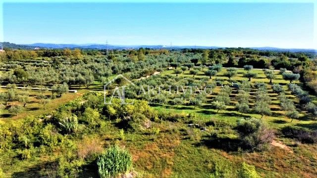 Umago-dintorni, terreno edificabile attraente di 623 m2