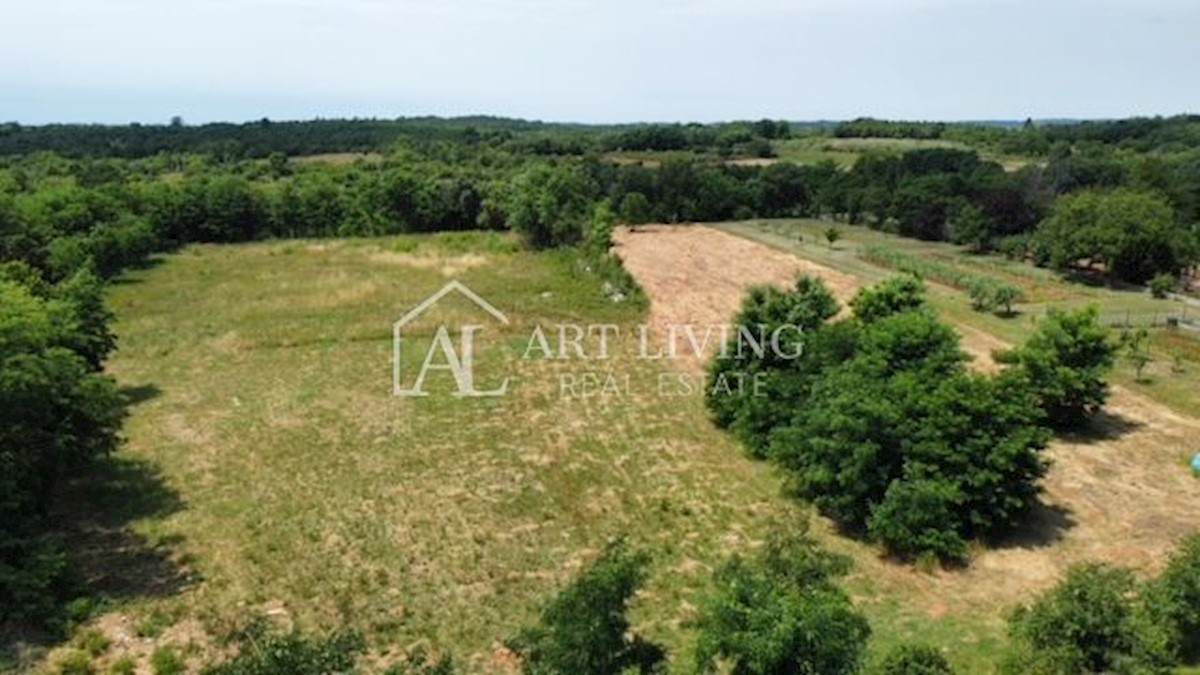 Poreč - dintorni, terreno edificabile in un villaggio idilliaco a 14 km dal mare