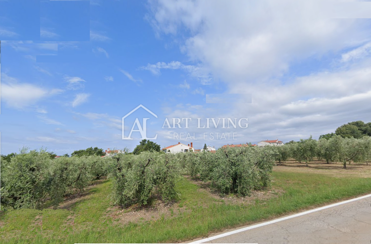 Istria, Tar - Ampio e attraente terreno edificabile, 3500 m2, posizione eccellente