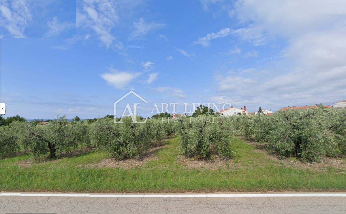 Istria, Tar - Ampio e attraente terreno edificabile, 3500 m2, posizione eccellente