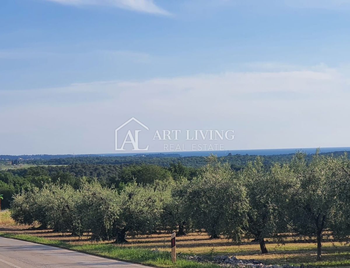 Istria, Tar - Ampio e attraente terreno edificabile, 3500 m2, posizione eccellente