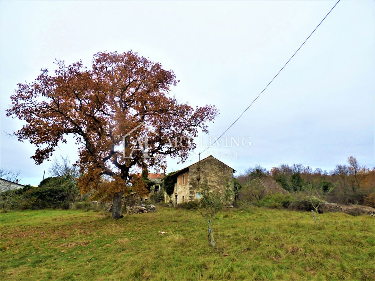 Oprtalj, casa istriana autoctona con terreno edificabile