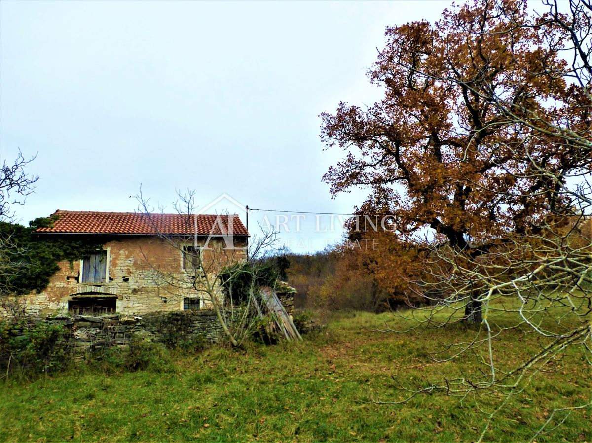 Oprtalj, casa istriana autoctona con terreno edificabile