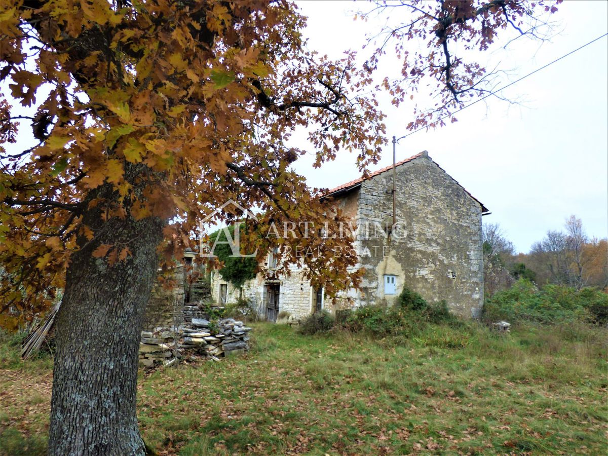 Oprtalj, casa istriana autoctona con terreno edificabile