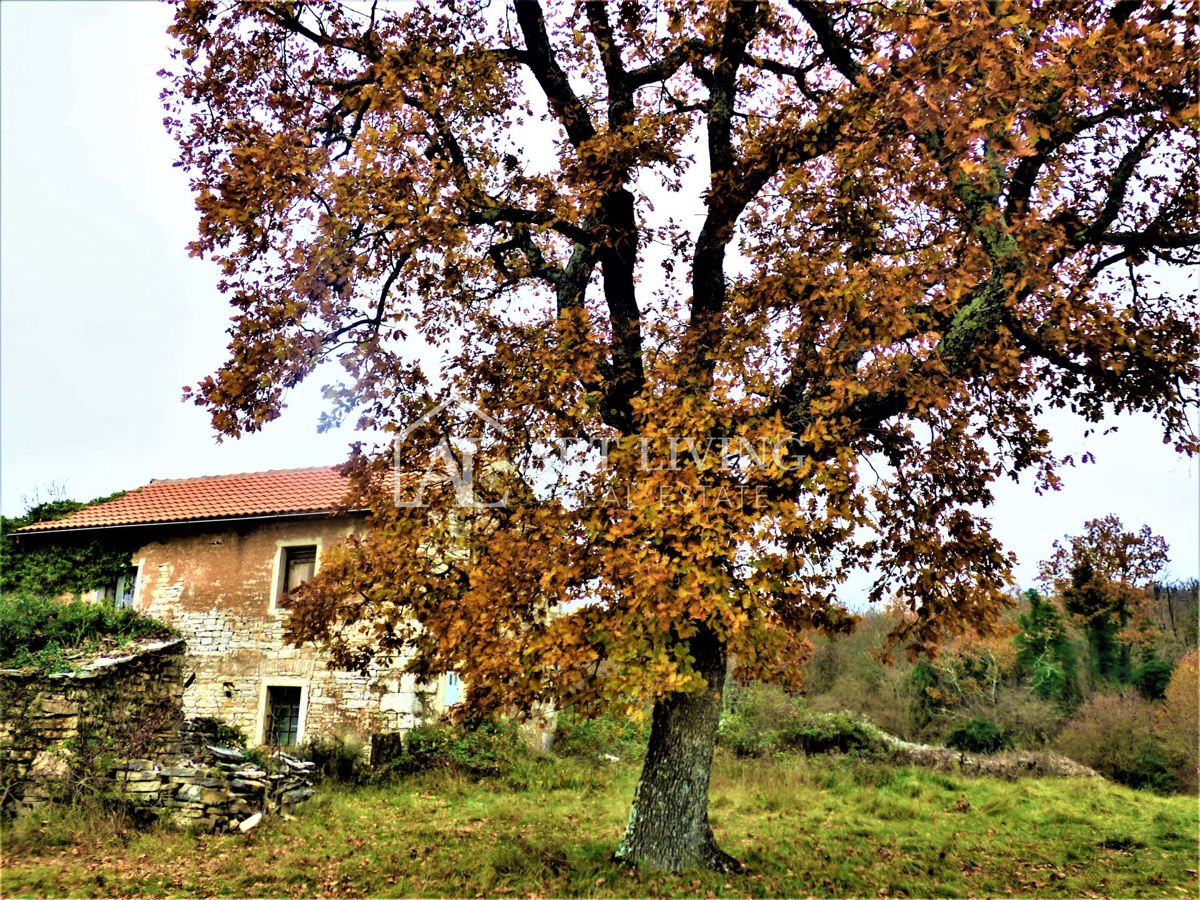 Oprtalj, casa istriana autoctona con terreno edificabile