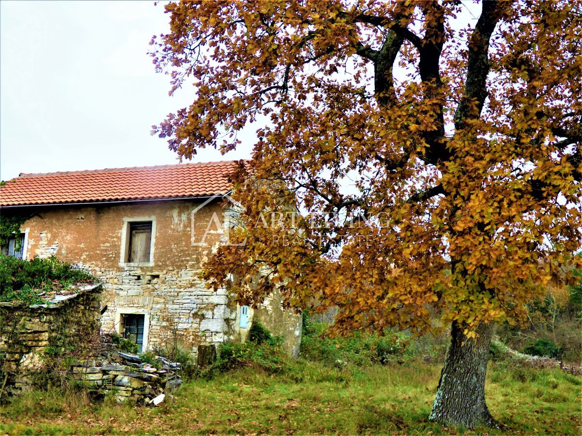 Oprtalj, casa istriana autoctona con terreno edificabile