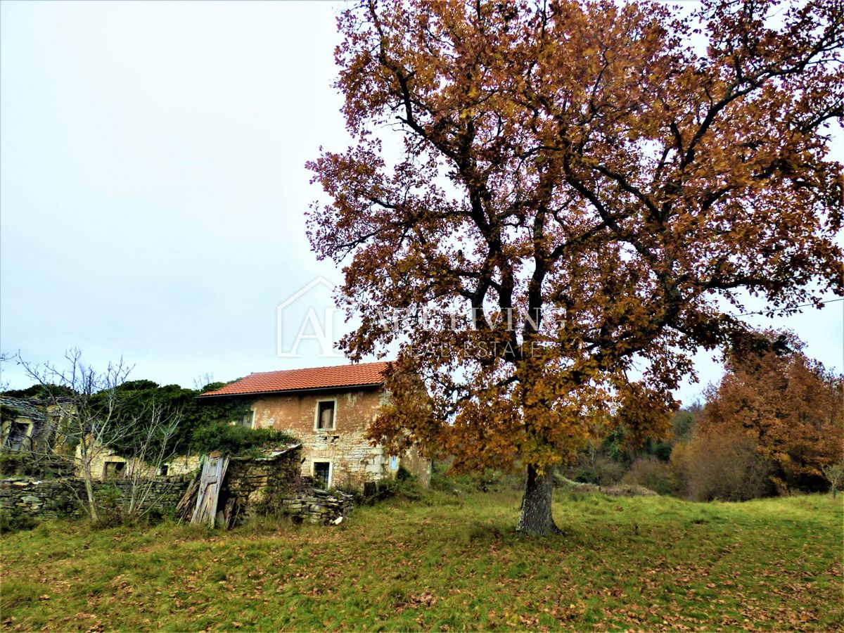 Oprtalj, casa istriana autoctona con terreno edificabile