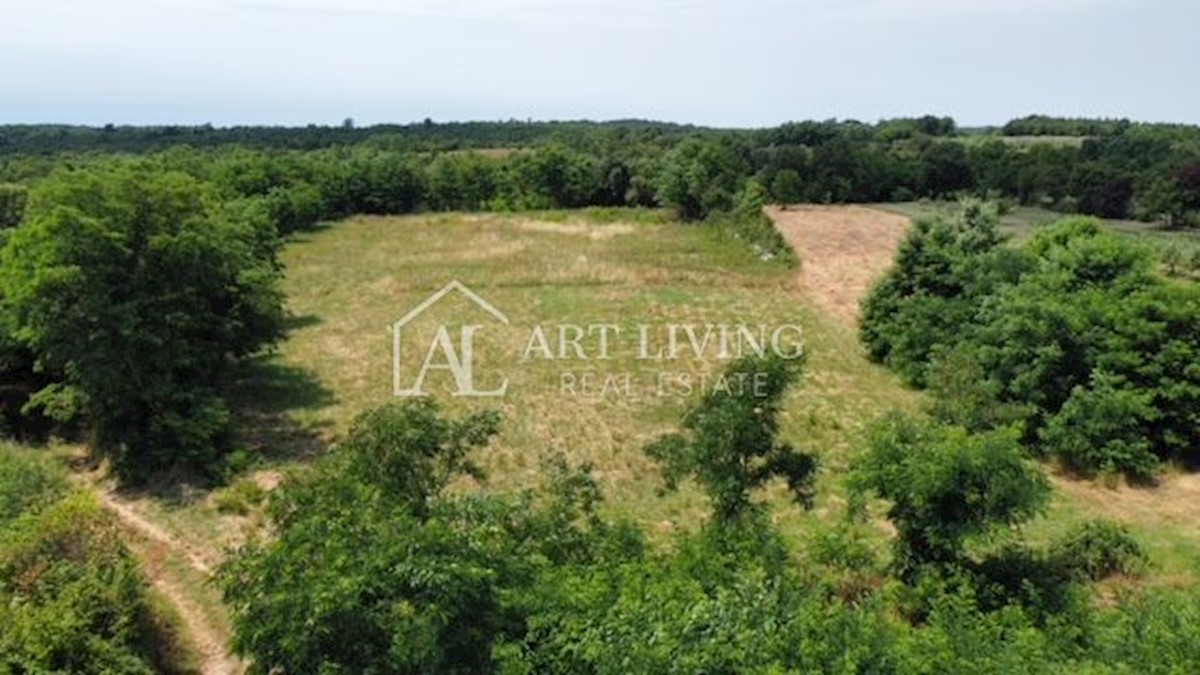 Parenzo - dintorni, terreno edificabile in un villaggio tranquillo e bello a 14 km dal mare