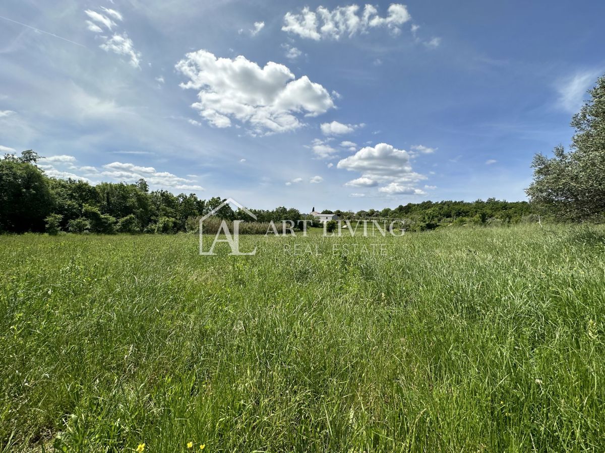 Istria, Buie, dintorni - ampio terreno agricolo in una posizione tranquilla e bella