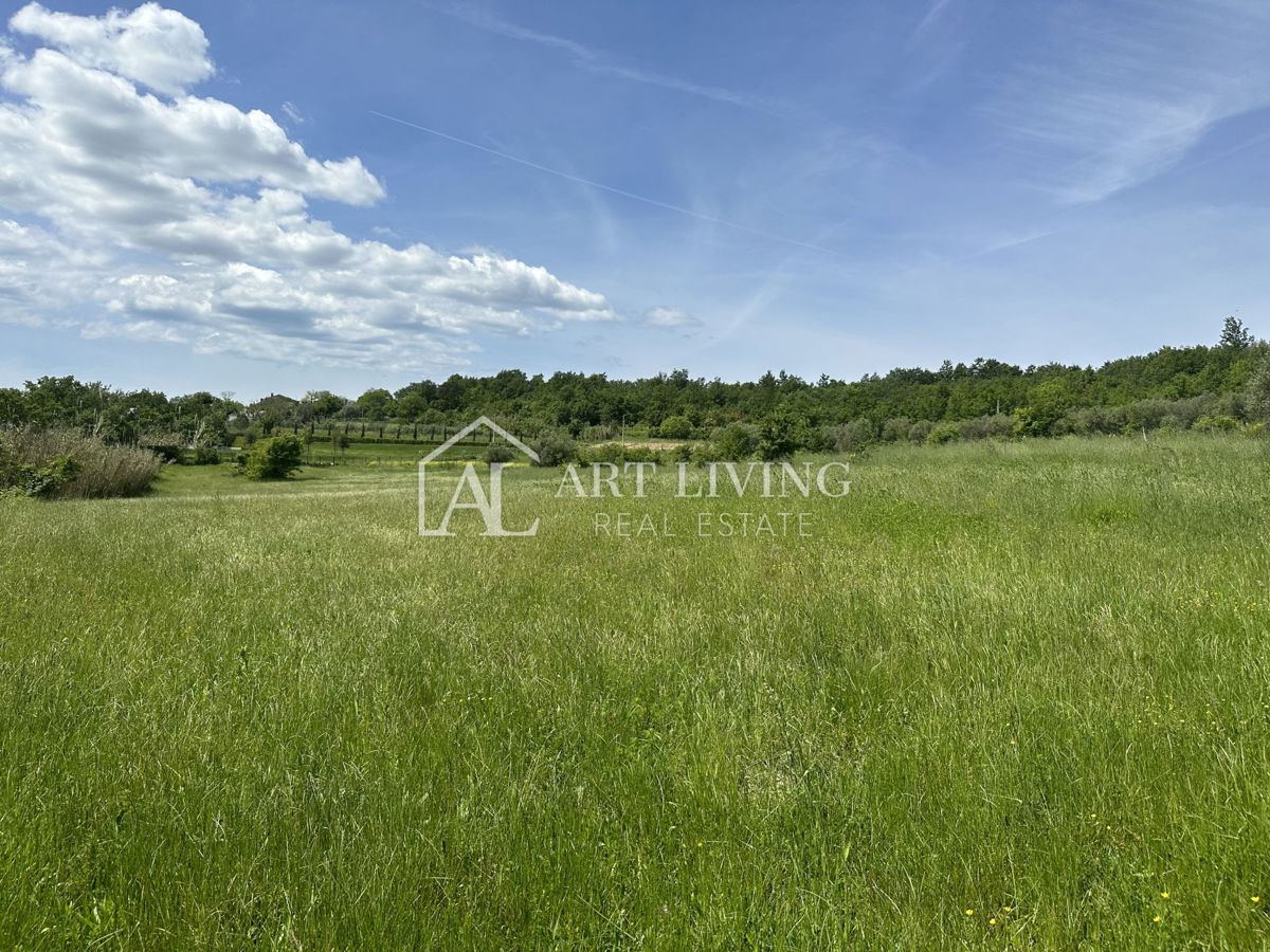 Istria, Buie, dintorni - ampio terreno agricolo in una posizione tranquilla e bella