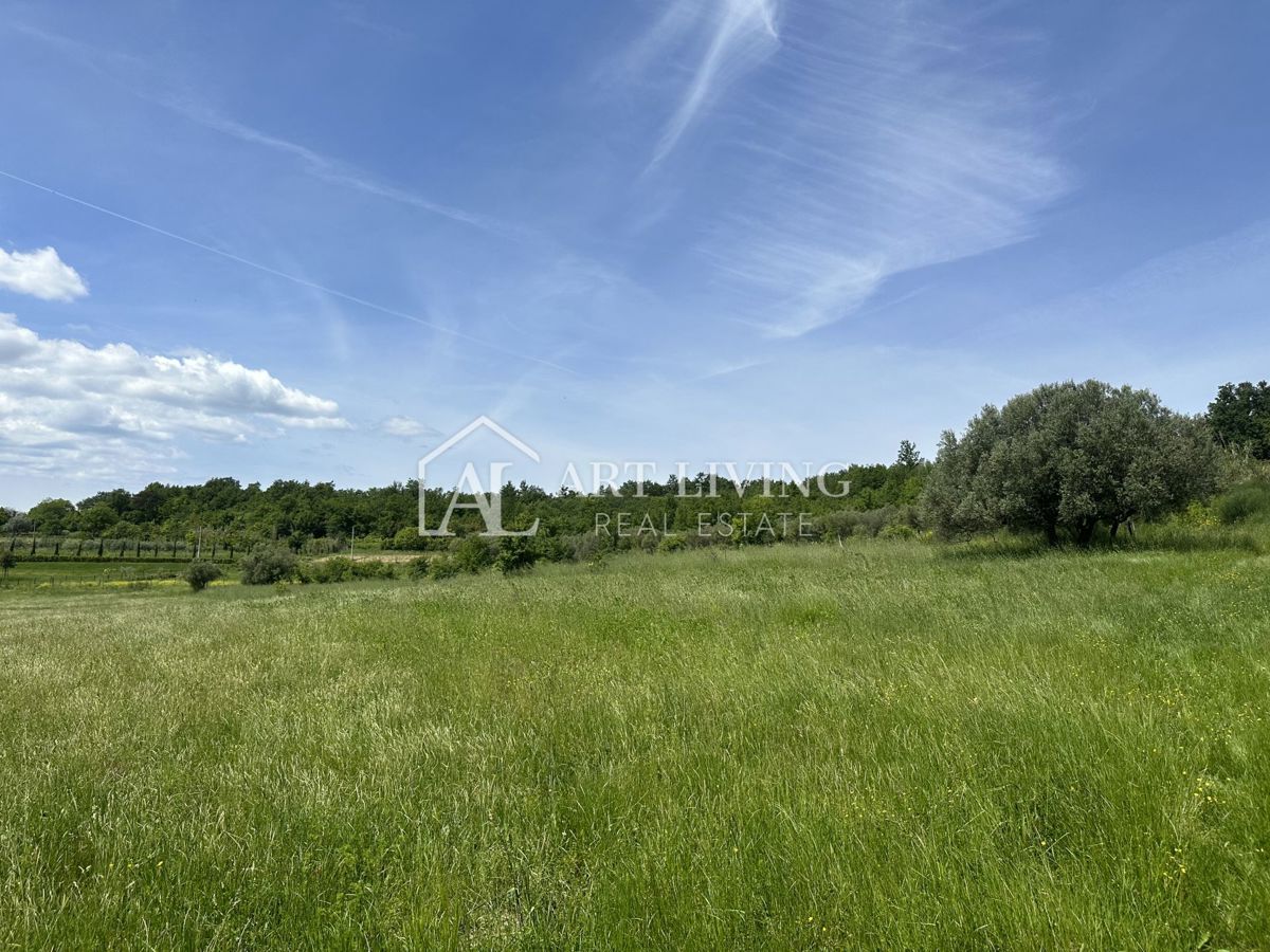 Istria, Buie, dintorni - ampio terreno agricolo in una posizione tranquilla e bella