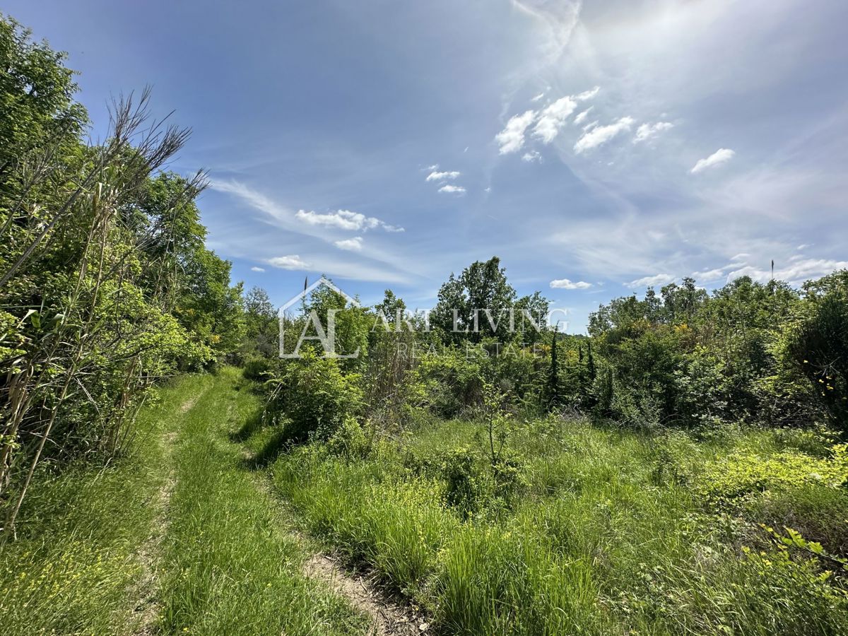 Istria, Buie, dintorni - ampio terreno agricolo in una posizione tranquilla e bella