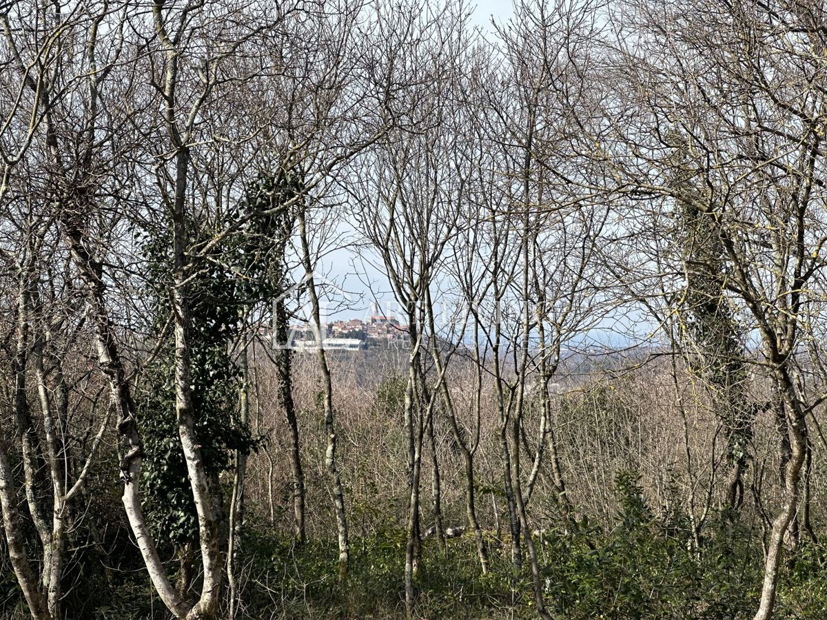 Grisignana, dintorni - attraente terreno edificabile, 1100 m2 con una splendida vista