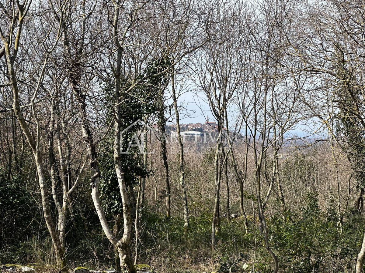 Grisignana, dintorni - attraente terreno edificabile, 1100 m2 con una splendida vista