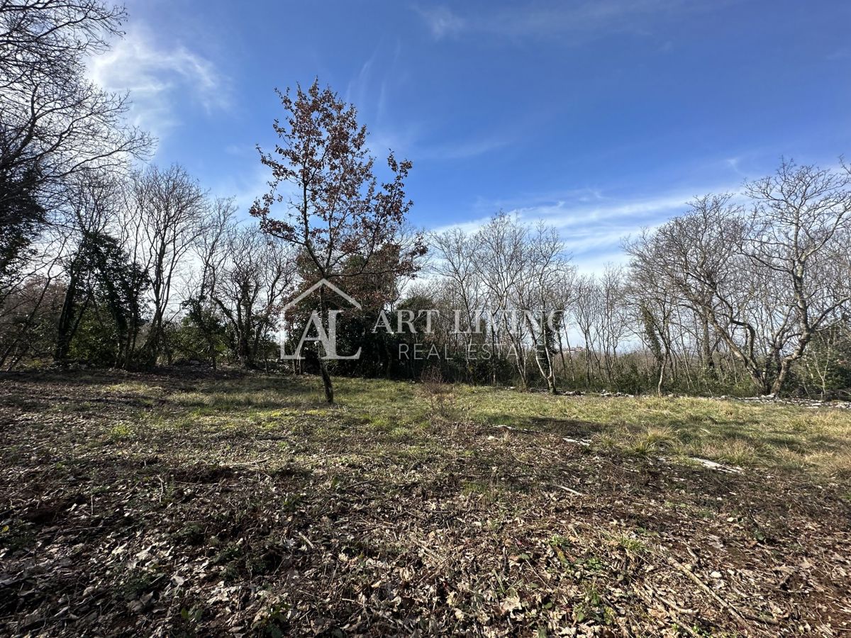 Grisignana, dintorni - attraente terreno edificabile, 1100 m2 con una splendida vista