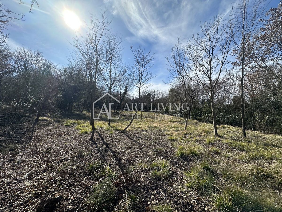 Grisignana, dintorni - attraente terreno edificabile, 1100 m2 con una splendida vista