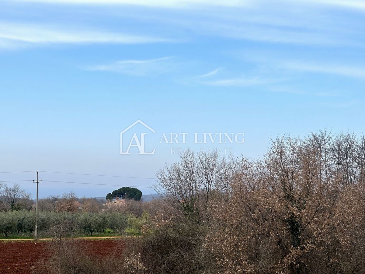 Parenzo e dintorni - OPPORTUNITÀ, attraente appartamento bilocale al primo piano