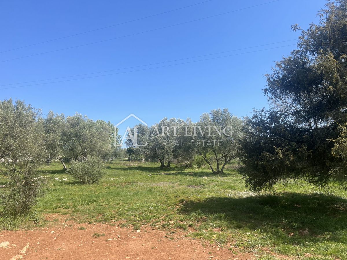 Buie - Kaštel - terreno edificabile 1250 m2, OCCASIONE