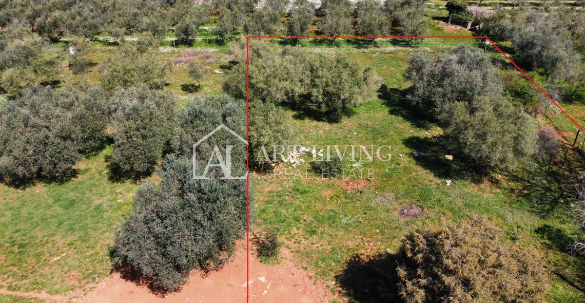 Buie - Kaštel - terreno edificabile 1250 m2, OCCASIONE