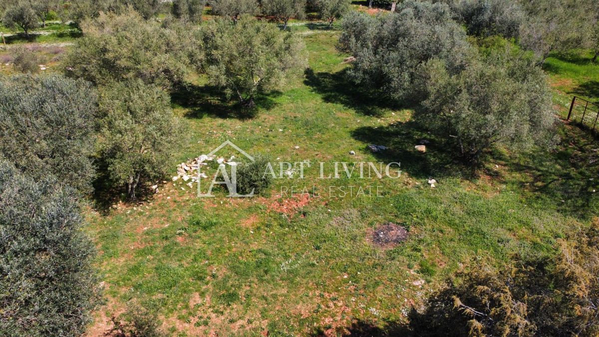 Buie - Kaštel - terreno edificabile 1250 m2, OCCASIONE