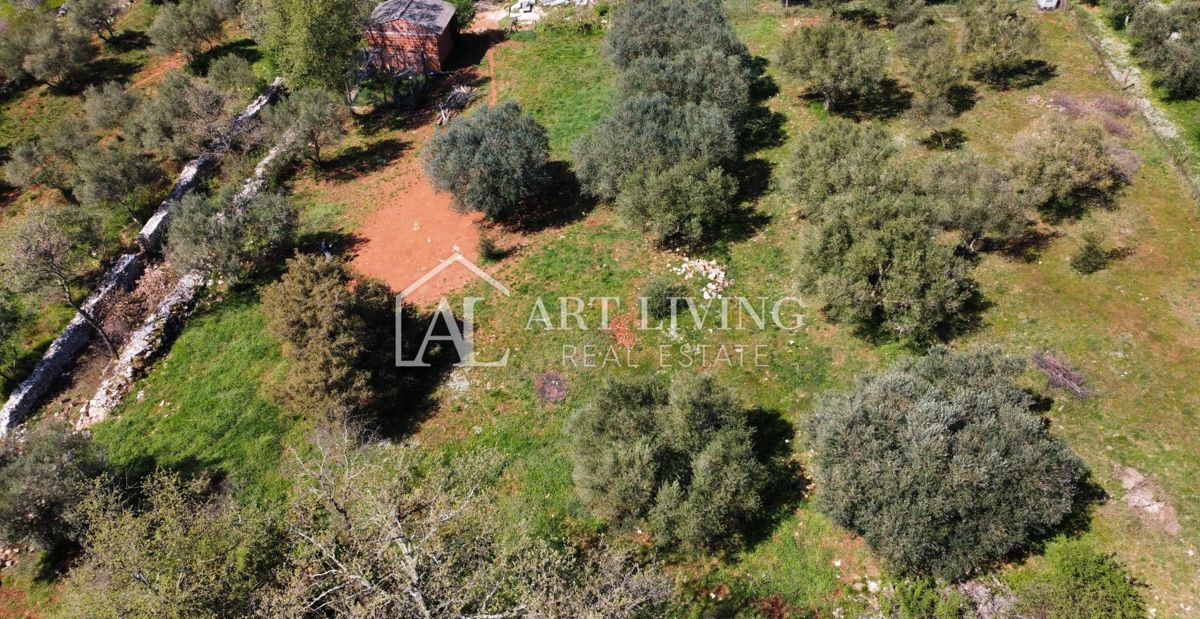 Buie - Kaštel - terreno edificabile 1250 m2, OCCASIONE