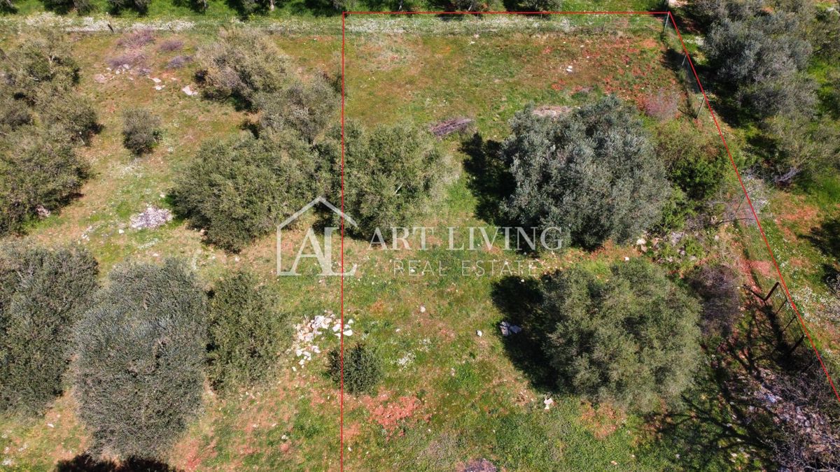 Buie - Kaštel - terreno edificabile 1250 m2, OCCASIONE