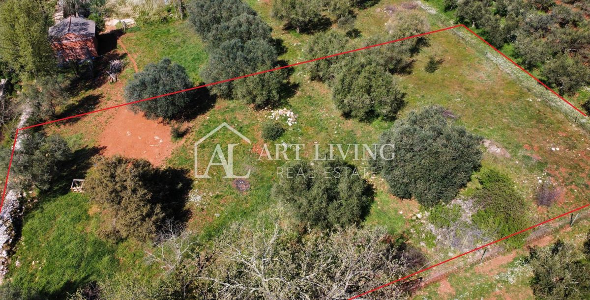 Buie - Kaštel - terreno edificabile 1250 m2, OCCASIONE