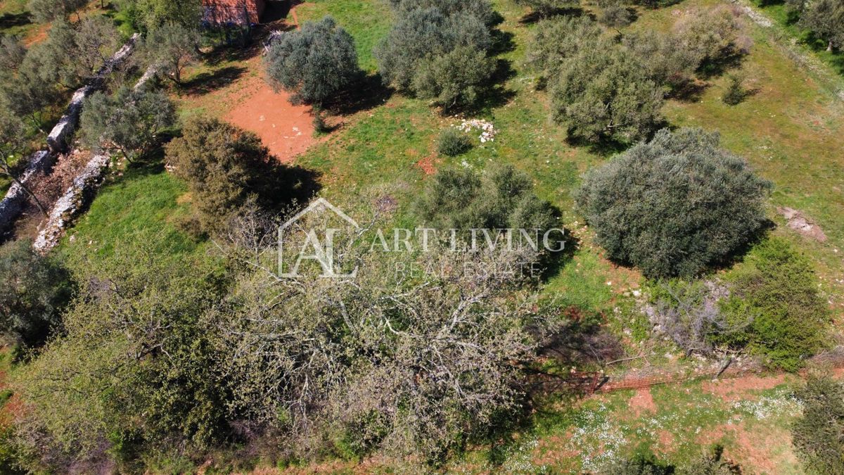 Buie - Kaštel - terreno edificabile 1250 m2, OCCASIONE