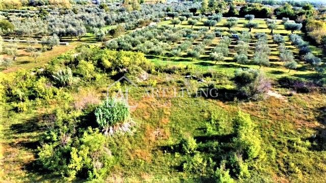 Umago, terreno edificabile 880 m2 in una posizione attraente