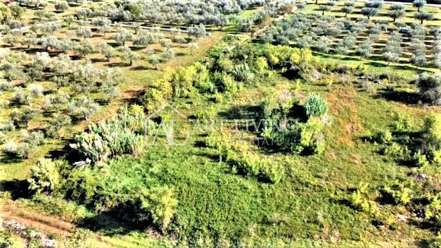 Umago, terreno edificabile 880 m2 in una posizione attraente