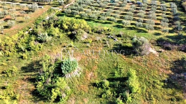 Umago, terreno edificabile 880 m2 in una posizione attraente