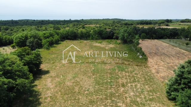 Parenzo - dintorni, bel terreno edificabile a 14 km dal mare