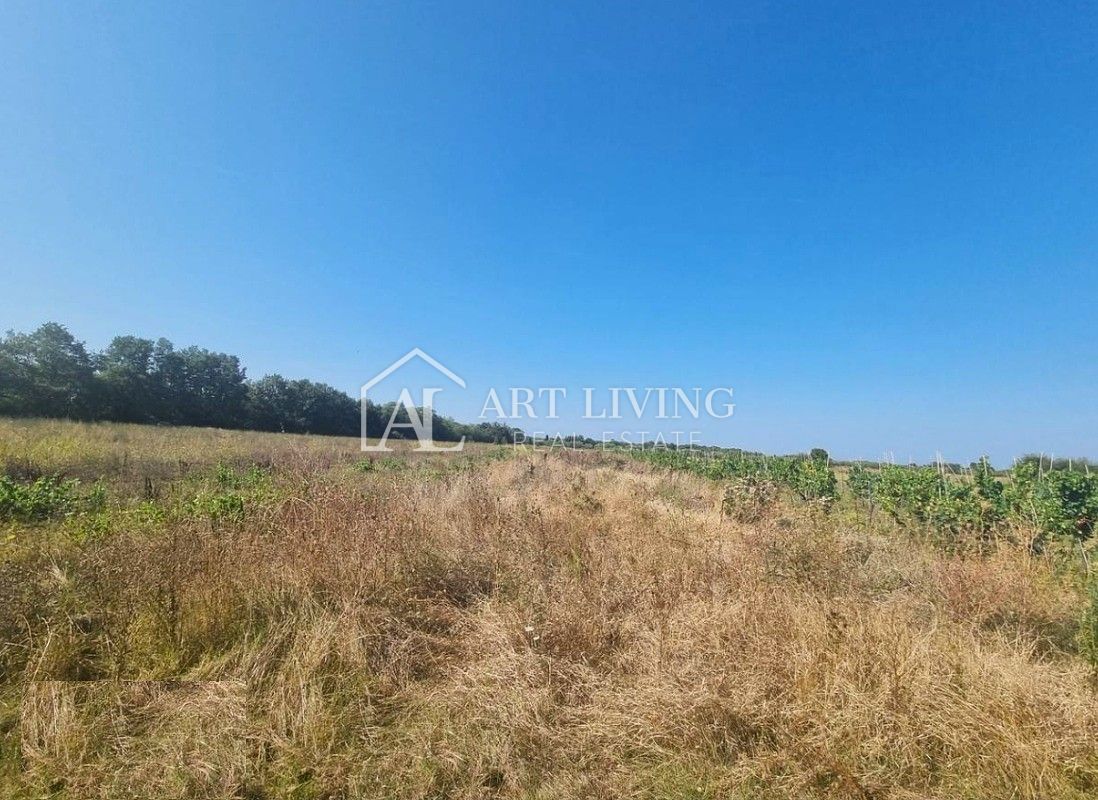 Parenzo, dintorni - ampio terreno edificabile in una posizione tranquilla e bella