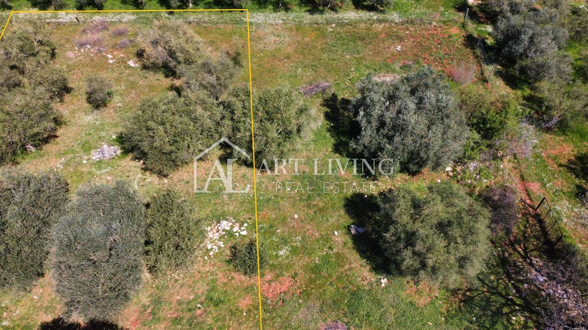 Buje - Kaštel - OPPORTUNITÀ, terreno edificabile 1200 m2