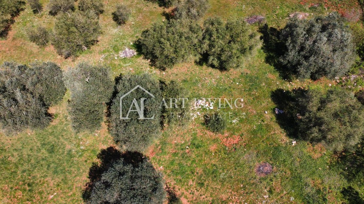 Buje - Kaštel - OPPORTUNITÀ, terreno edificabile 1200 m2