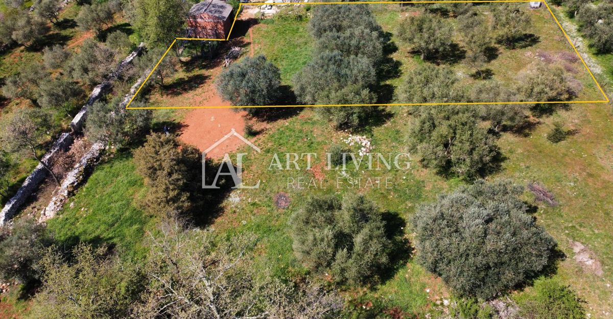 Buje - Kaštel - OPPORTUNITÀ, terreno edificabile 1200 m2