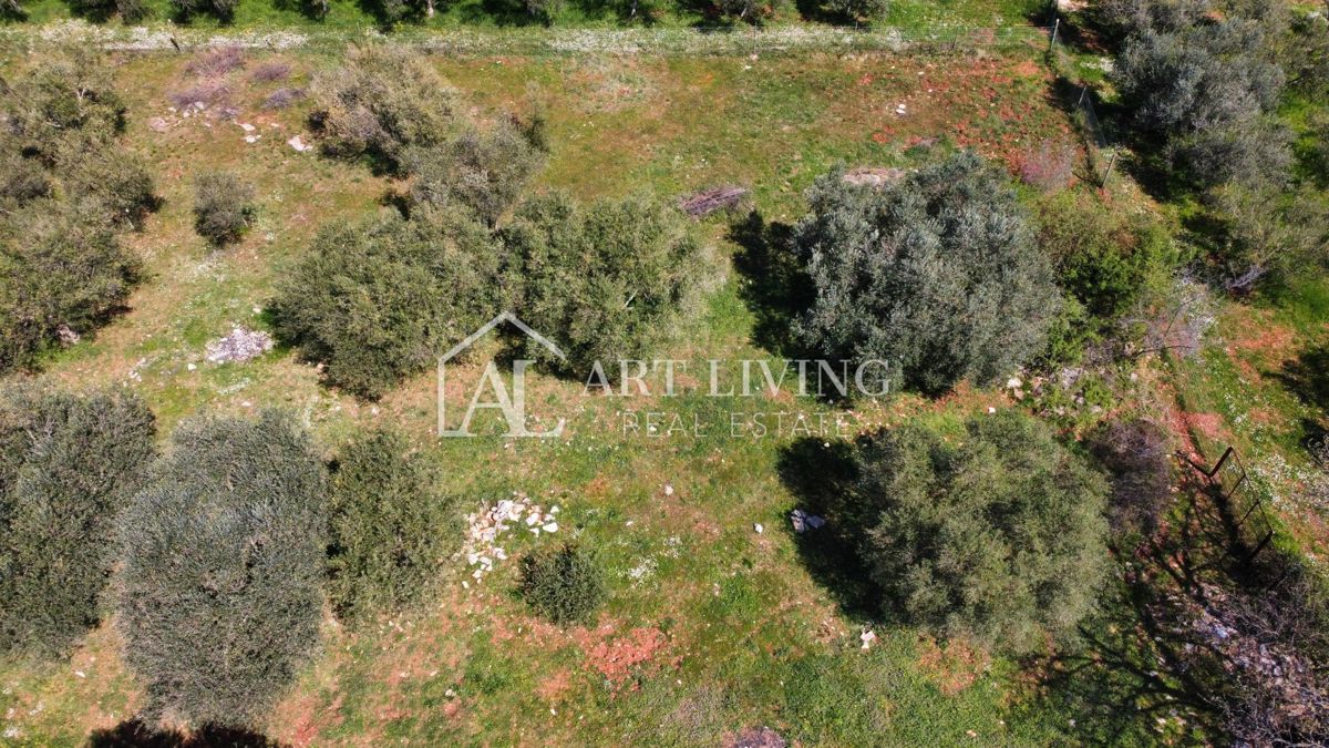 Buje - Kaštel - OPPORTUNITÀ, terreno edificabile 1200 m2