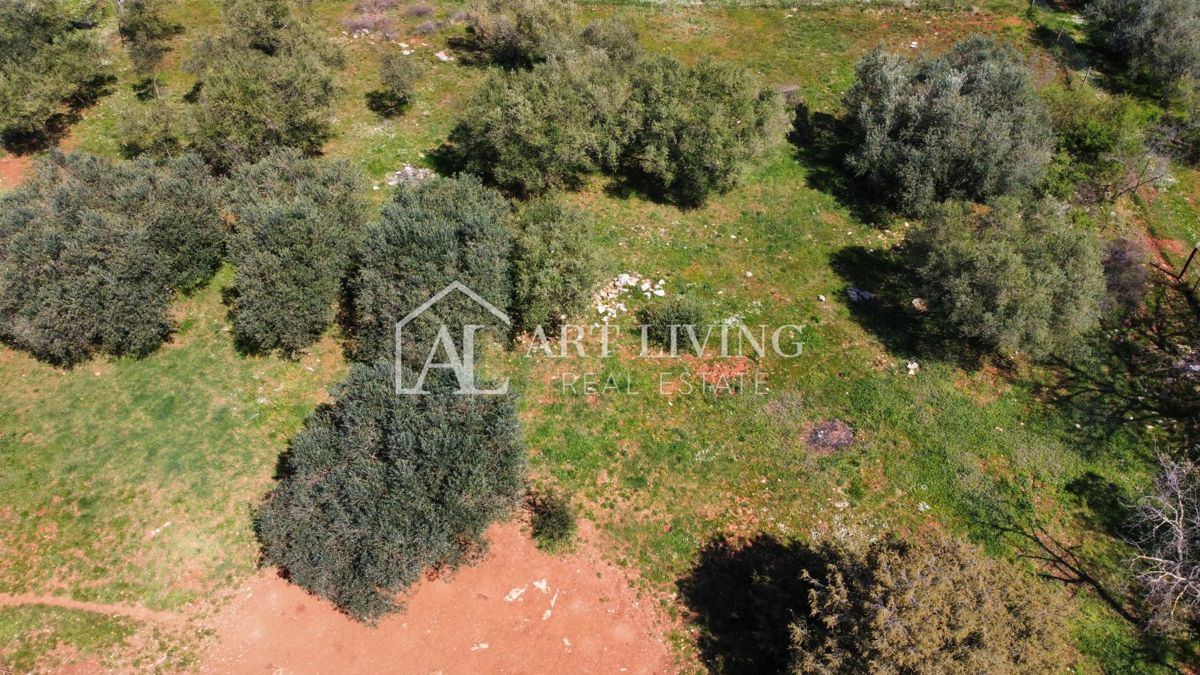 Buje - Kaštel - OPPORTUNITÀ, terreno edificabile 1200 m2