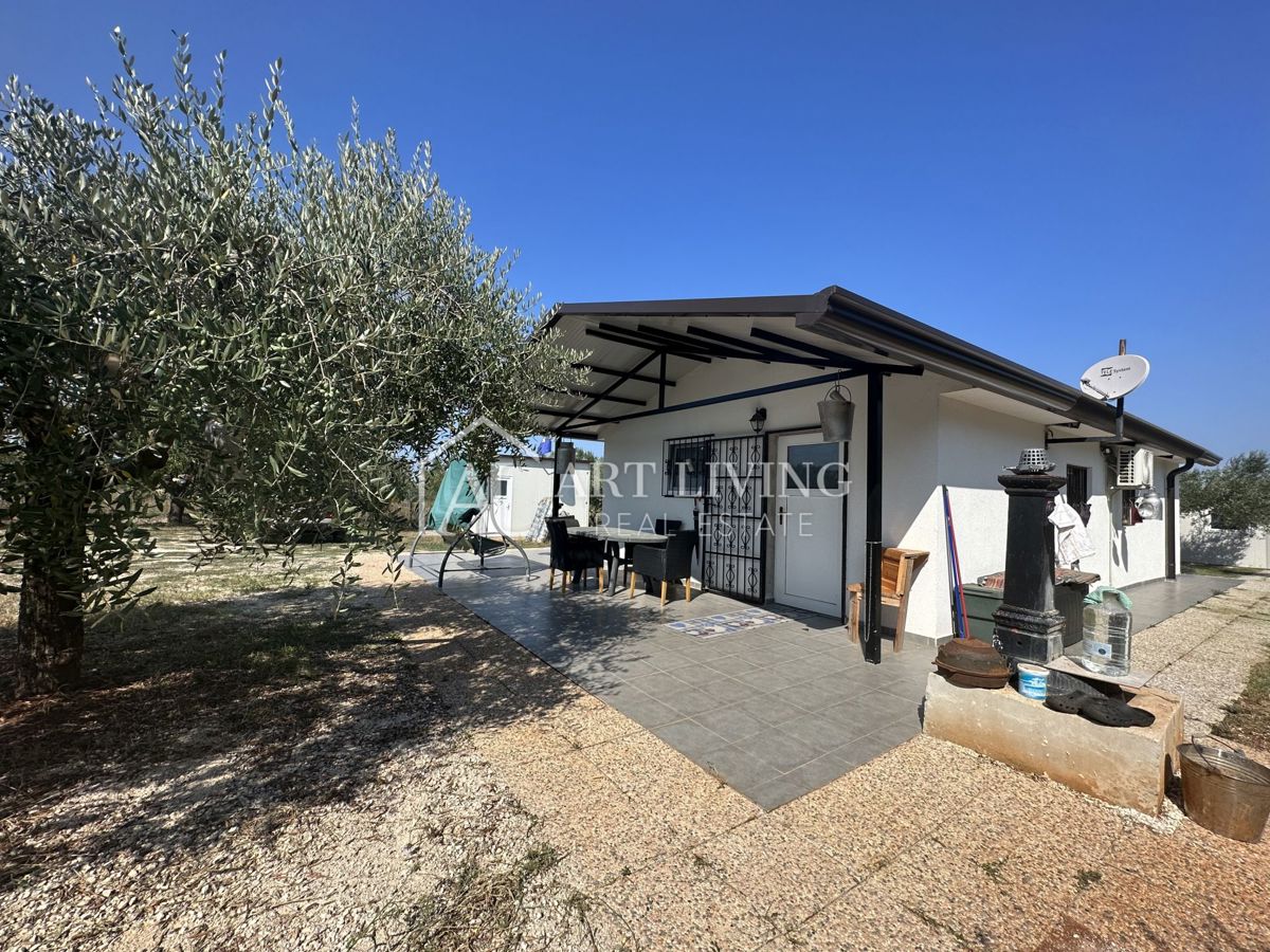 Istria, Umago, dintorni - una spaziosa proprietà con un grande uliveto e una costruzione indipendente