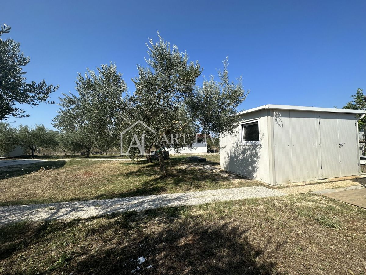 Istria, Umago, dintorni - una spaziosa proprietà con un grande uliveto e una costruzione indipendente
