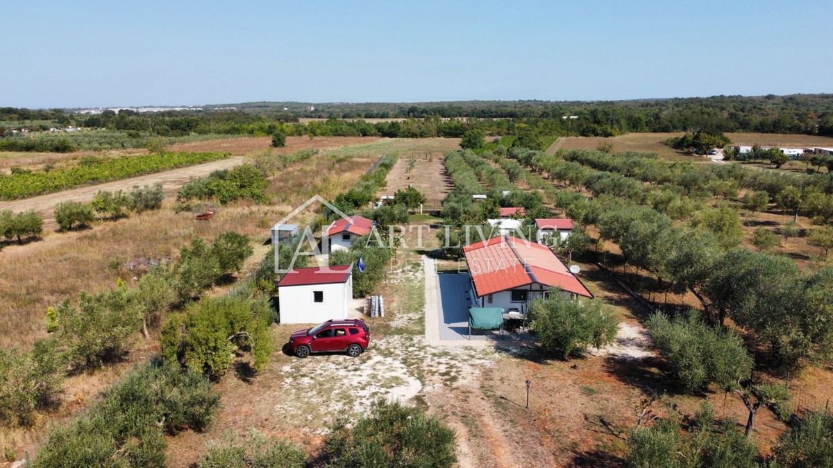 Istria, Umago, dintorni - una spaziosa proprietà con un grande uliveto e una costruzione indipendente