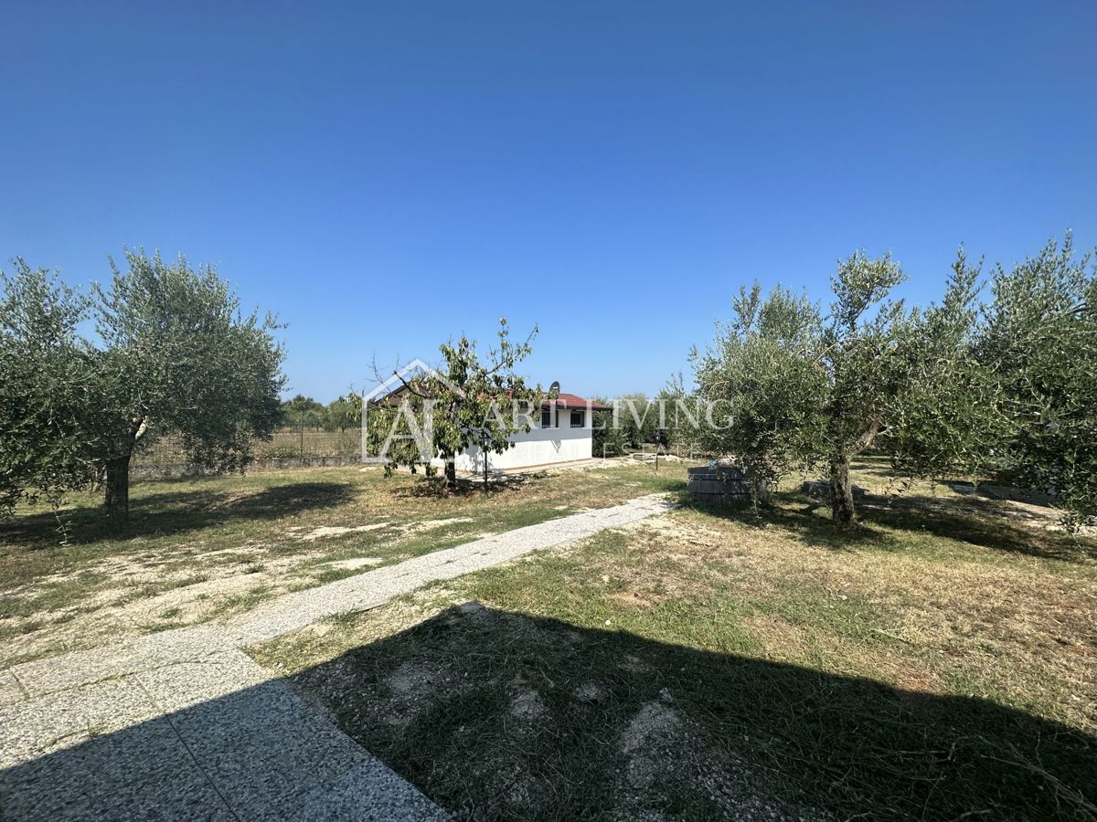 Istria, Umago, dintorni - una spaziosa proprietà con un grande uliveto e una costruzione indipendente