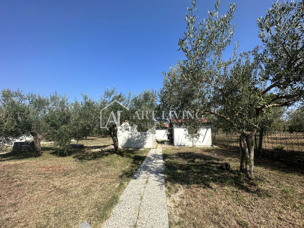 Istria, Umago, dintorni - una spaziosa proprietà con un grande uliveto e una costruzione indipendente