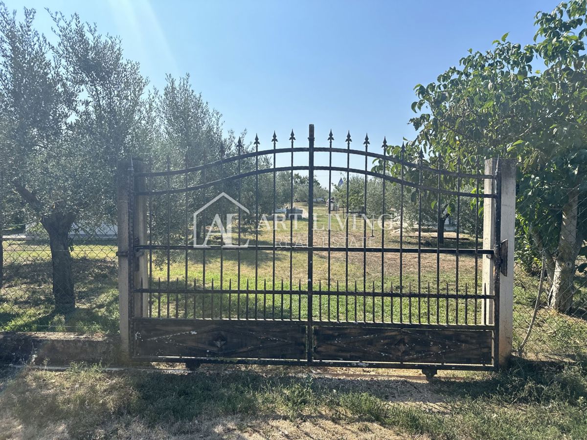 Istria, Umago, dintorni - una spaziosa proprietà con un grande uliveto e una costruzione indipendente