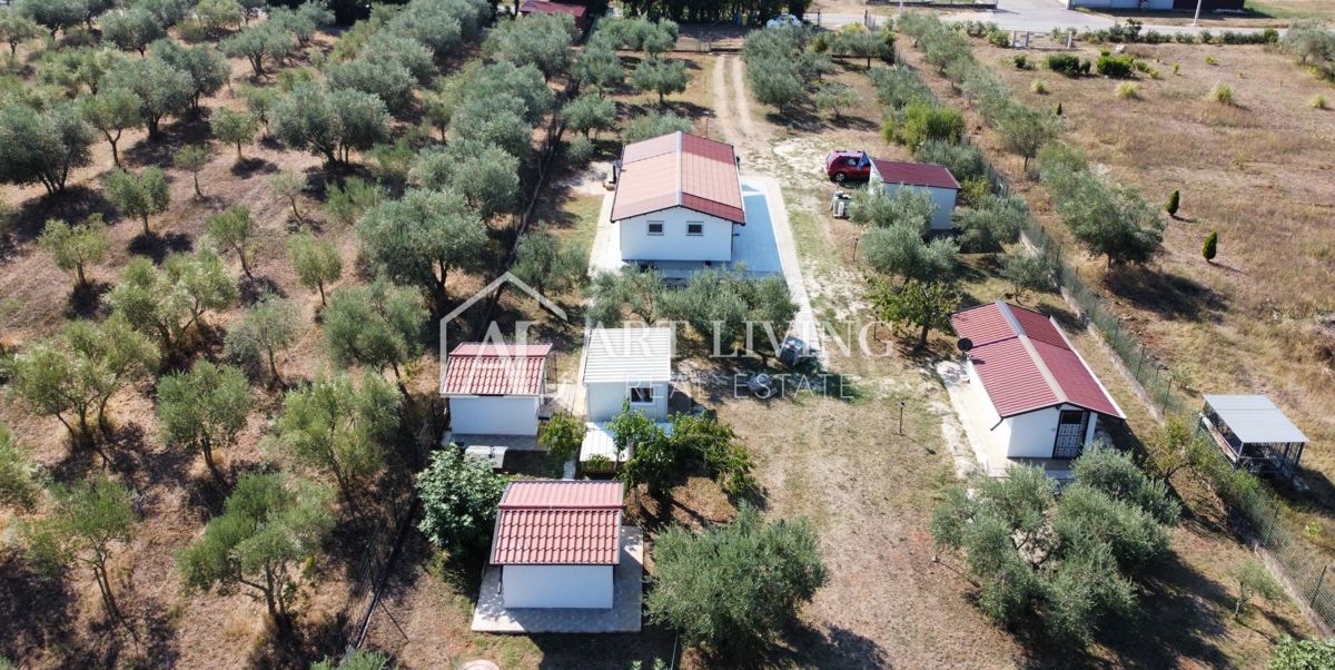 Istria, Umago, dintorni - una spaziosa proprietà con un grande uliveto e una costruzione indipendente