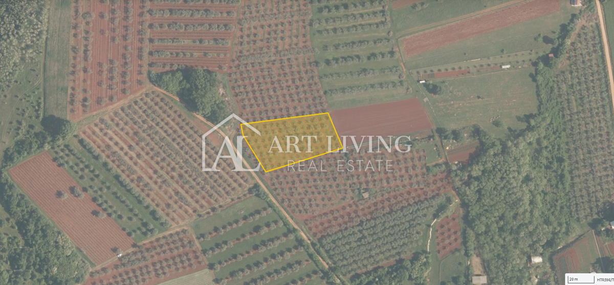 Istria, Zona di Novigrad – Splendido Terreno Agricolo con Uliveto